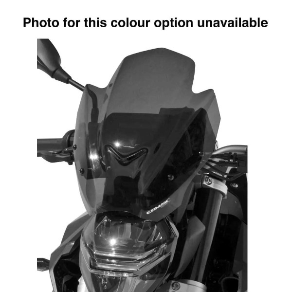 Ermax Ermax sport screen | light smoke | bmw f 900 r 2020>current